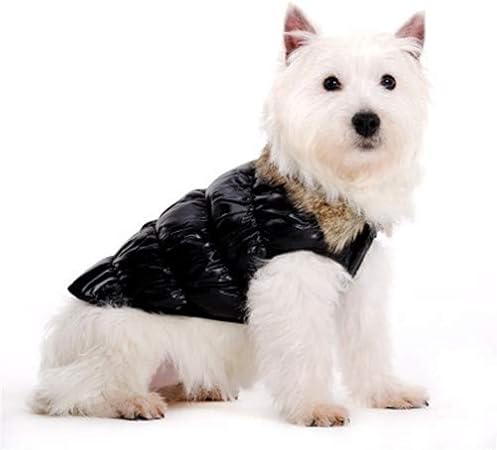 dog bubble jacket