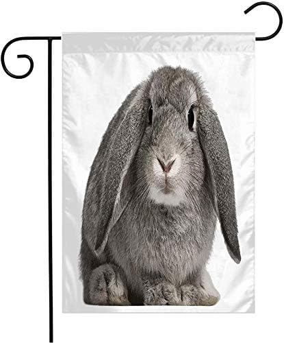 grey french lop