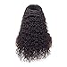 ORIGINAL QUEEN Human Hair Wigs Water Wave 12Inches Wet and Wavy Lace Front Wigs Human Hair Water Wave Frontal Wigs Pre Plucked Lace Front Wigs Human Hair Short Curly Lace Frontal Wigs