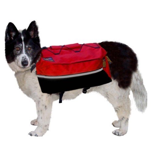 Kyjen Company Outward Hound Backpack X-Large