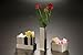 American Metalcraft SSPT5 Stainless Steel Square Sugar Cube Holder, 2