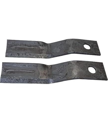 Amazon.com: WOODS OEM 57099KT(57099-2 Blade Set) 19