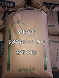令和元年産 宮崎県産 コシヒカリ 玄米  30㎏