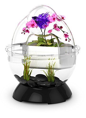 Bio-bubble biobubble wonder bubble tunnel kit, black