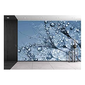 Dewy Dandelion Flower Close Up - Removable Wall Mural | Self-Adhesive Large Wallpaper - 66x96 inches