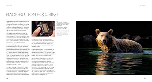 Wildlife Photography: An expert guide - Thumbnail 5