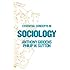 Essential Concepts in Sociology