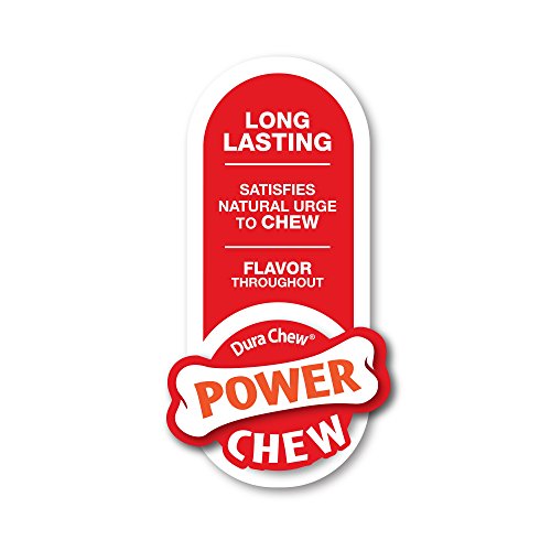 Nylabone Power Chew DuraChew Bone Dog Chew Toy, Twin Pack, Large