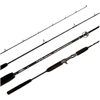 Amazon.com: Slow Pitch Jigging Combo