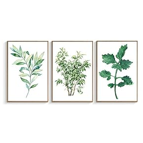 Beautiful Striking Green Leaves - 3 Panel Framed Canvas