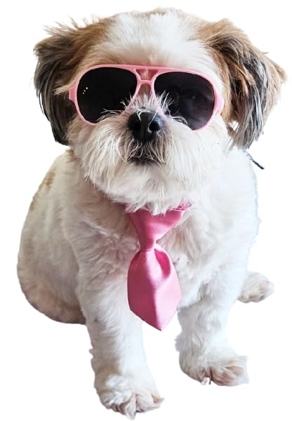 C26 Dog Pet Costume Set Retro Sunglasses + Tie Adjustable for Small Dogs up to 15 lbs Party Prop Cosplay Photoshoot (Aviator Pink Sunglasses +Pink Tie) at Amazon