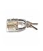 GoldLock Cutaway Professional Transparent Practice Padlock For Locksmith Training