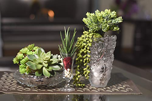 Bioexcel Fake Succulent Plants - Pack of 11 Artificial Succulents - Without Pots Faux Succulents for Indoor and Outdoor Home Decor - Thumbnail 4
