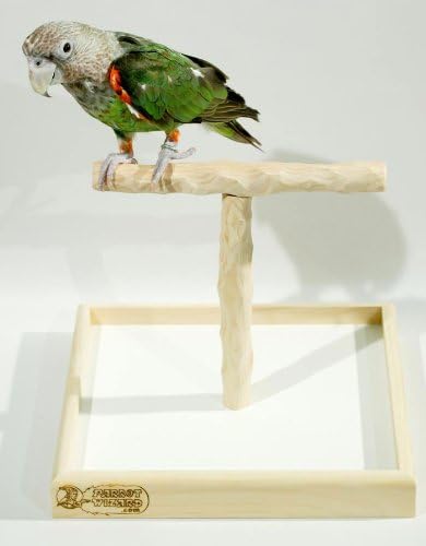 Amazon.com : Deluxe Tabletop NU Perch 