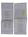 EnviroCare Replacement Micro Filtration Vacuum Bags Designed to Fit Sharp PU-2 Uprights 6 Pack
