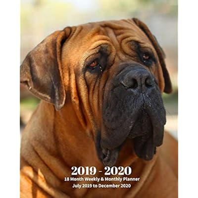 Boerboel Dog Breed 18-Month Planner: Jul 2019-Dec Zimbabwe Ubuy