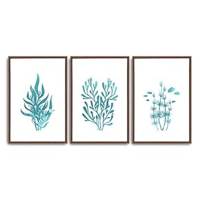 3 Piece Framed Canvas Wall Art Simple Seabed Elements Canvas Prints Home Artwork Decoration for Living Room,Bedroom - 16"x24"x3 Panels