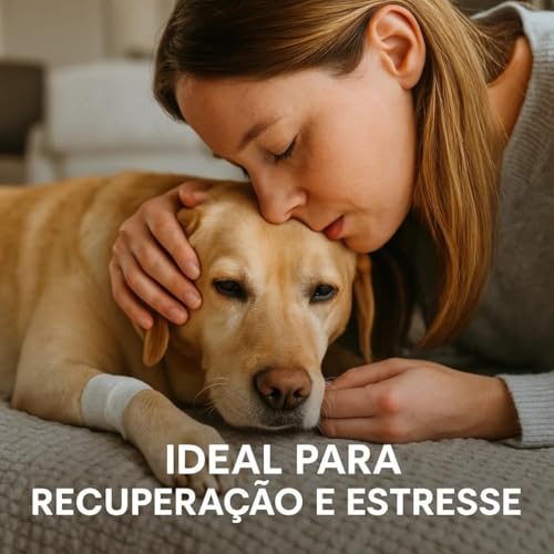 Kit 3 Suplementos Cães Prom Defesa Boost para Cães 3ml Probiótico Omega 3 Suporte Nutricional Casa Buritis