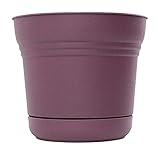 Bloem 814174023143 Saturn Planter with Saucer, 7", Passion Fruit (SP0729)