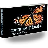 Butterfly Flipbook for Kids Ages 6-12, Animation Flip Book for Children | Caterpillar to Butterfly Metamorphosis Story on Flip Book Paper, Educational STEM Flipbook for Boys &amp; Girls, Animated Science
