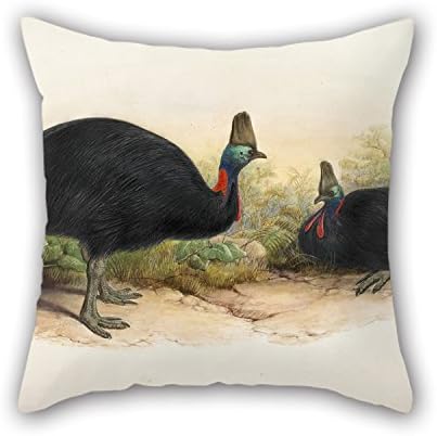 18 X 18 Inches / 45 By 45 Cm Oil Painting Henry Constantine Richter - Southern Cassowary, Casuarius Casuarius Cushion Covers 2 Sides Ornament And Gift To Relatives Teens Monther Sofa Father Christ
