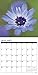 Tony Howell's Flowers 2018 Calendar
