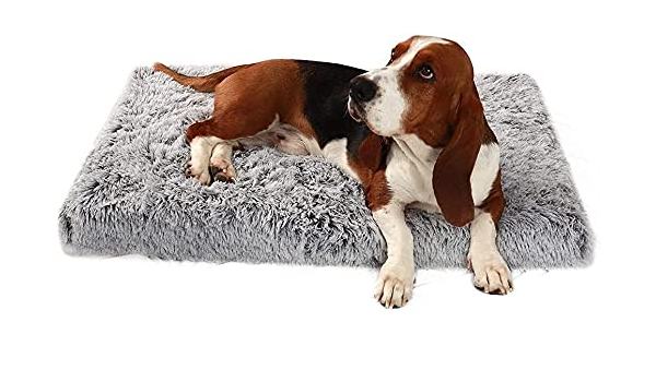 dog mat amazon