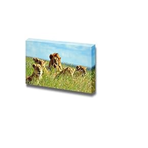 Canvas Prints Wall Art - A Pride of Lions Soaking Up The Mid-Day Sun. Serengeti National Park, Tanzania | Stretched Gallery Canvas Wraps Giclee Print & Ready to Hang - 12" x 18"