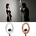 Neewer Orange and White Color Filter Set for Neewer 14 inches/36 Centimeters 50W(400W Equivalent) 5500K Ring Light and 36W LED SMD 5500K Dimmable Ring Light