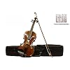 Sinfonie24 Geige Violin Set Größe 4/4, Hamburger Geigenbau Manufaktur, lebhafter, warmer, runder Klang, (Basic II…