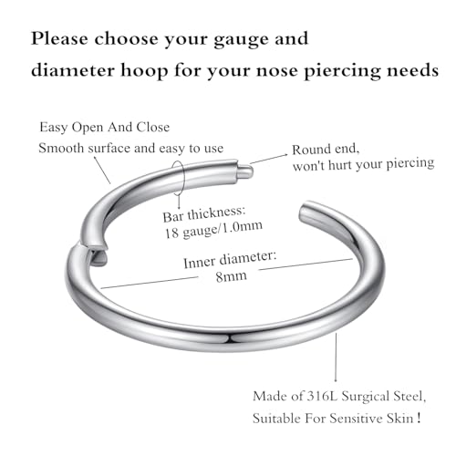 ORANGELOVE Hypoallergenic Nose Rings 20G 18G 16G 14G 12G 10G 8G 316l Surgical Steel Septum Jewelry Hinged Segment Ring Body Piercing Nose Hoop Lip Rings Nose Helix Cartilage Rook Earrings