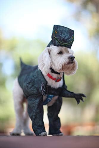 rex dog costume