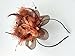 Removable Fascinator Hair Clip Feather Wedding Headwear Bridal 1920s Headpiece Women (Coffee)