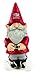 Evergreen Garden Gnome University of Arizona