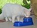 The 3-in-1 Ant Free Pet Dish (Small Blue)