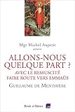 Allons-nous quelque part ? : Avec le Ressuscité, faire route vers Emmaüs by 