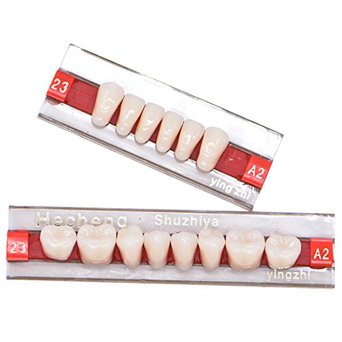 84 Pcs Dental Complete Acrylic Resin Denture False Teeth 3 Sets