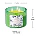 Large 3 Wick Soy Candle 15.8 oz - Raspberry Apple Citrus Scented Candle with Cranberry & Warm Cinnamon - Clean Burn, Long Lasting - Aromatherapy Candle for Relaxation & Stress Relief