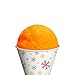 VICTORIO 16-Ounce Shaved Ice/Snow Cone Syrup, Orange Cream