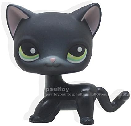 lps black shorthair