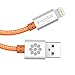 iPhone 5S Charger, 6.6 Ft Heavy Duty Braided iPhone Charger Lightning Cable iPhone 6S Charger F-color™ MFi Certified for iPhone 6S 6 Plus 5C 5S 5 iPad Air 2 Mini 4 iPad Pro, iPod Touch 5 Orange