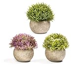 Mildenhall Zen Decorations for Home - Artificial Topiary Plants Bathroom Decorations for Wall with Solid Wood Shelf Included - Set of 3 Plants with Shelf