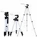 Lightweight Camera Tripod, Proslife Aluminum Portable Travel Camcorder Tripod with Carrying Bag, 14-42 Inch, Adjustable Height Legs