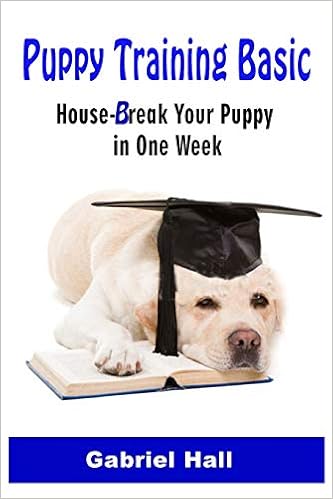 week long dog training