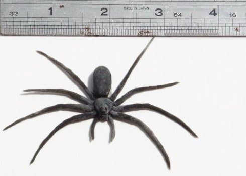 Fake Spider Rubber Tree (Set Of 12)