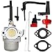 HOOAI 591378 Carburetor for Briggs & Stratton 697978 796321 696132 696133 796322 697351 699958 699966 698455 695918 694952 695919 695330 796323 695920 695328 primary