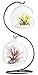 Mkono Clear Glass Vase Hanging Plant Terrarium with Black Metal Stand Tabletop Display Potted Stand for Air Plants Succelent Home Office Decor, S-Shape, 2 Globes.