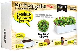Huerto Urbano - Seed Box Mini Ensaladas - Batlle: Amazon.es: Jardín