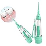 Denshine Portable Dental Care Water Jet Oral Irrigator Flosser Tooth SPA Teeth Pick Cleaner 1 Pack (Green)
