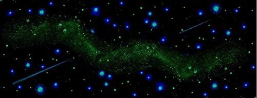 JUMBO Panorama Poster: "Spacescape" Glow in the Dark Star Poster for ceiling or wall - Huge Glow in the Dark poster -1,000's of twinkling Stars